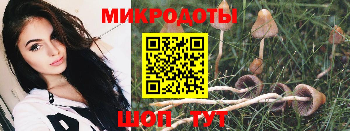 Галлюциногенные грибы Psilocybine cubensis  Псилоцибиновые грибы Psilocybine cubensis  Вход с VPN  Кудымкар 